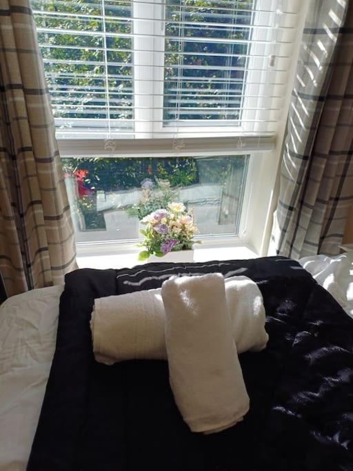 Cental Retreat - 2 Bedroom Apartment